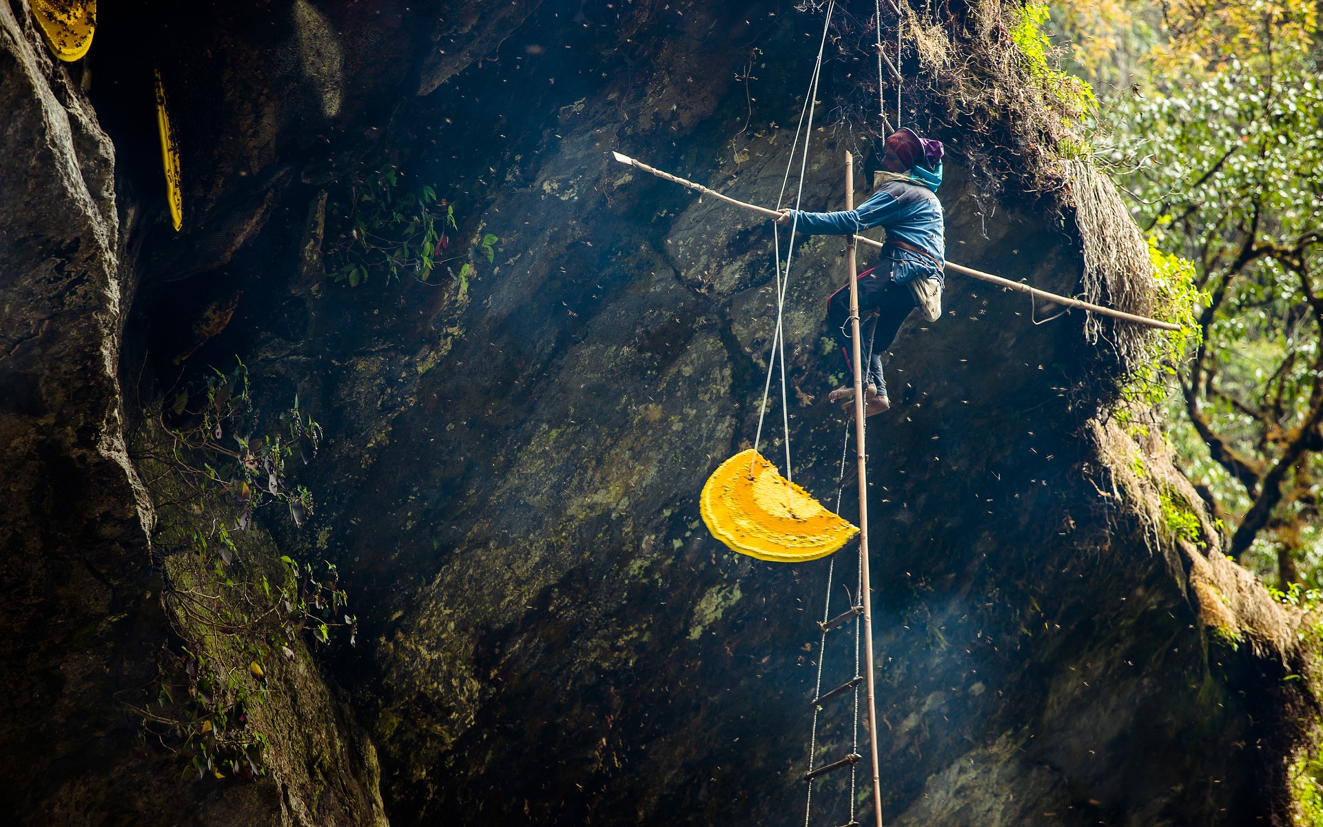 honey hunting nepal