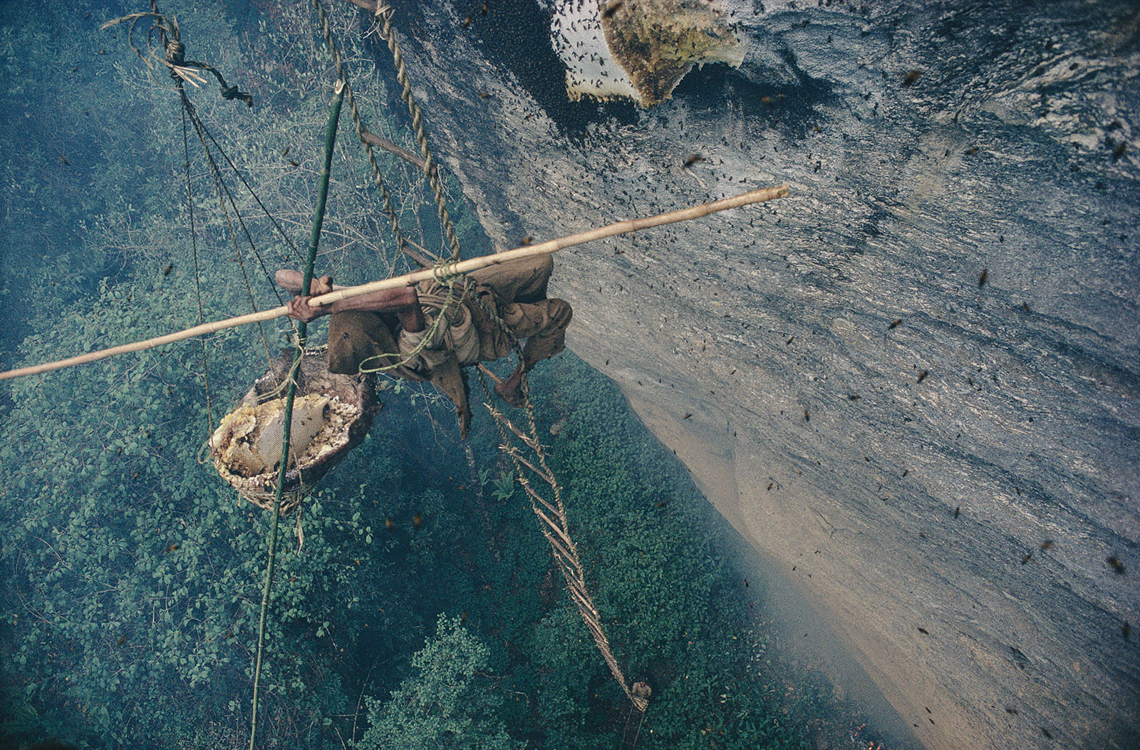 eric valley honey hunting
