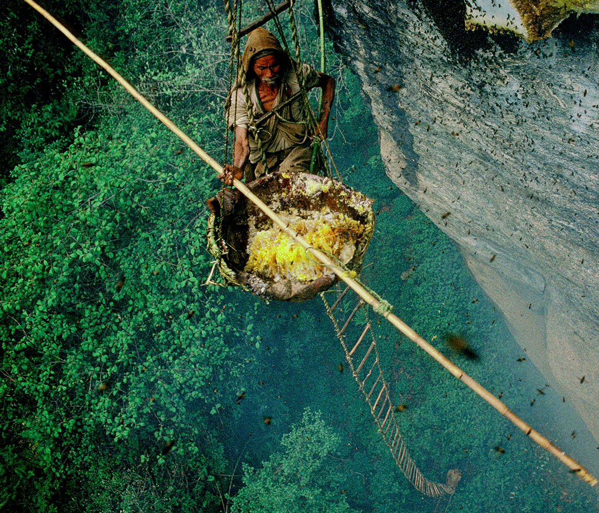 Mad Honey From The Himalayas 600g - Image 2